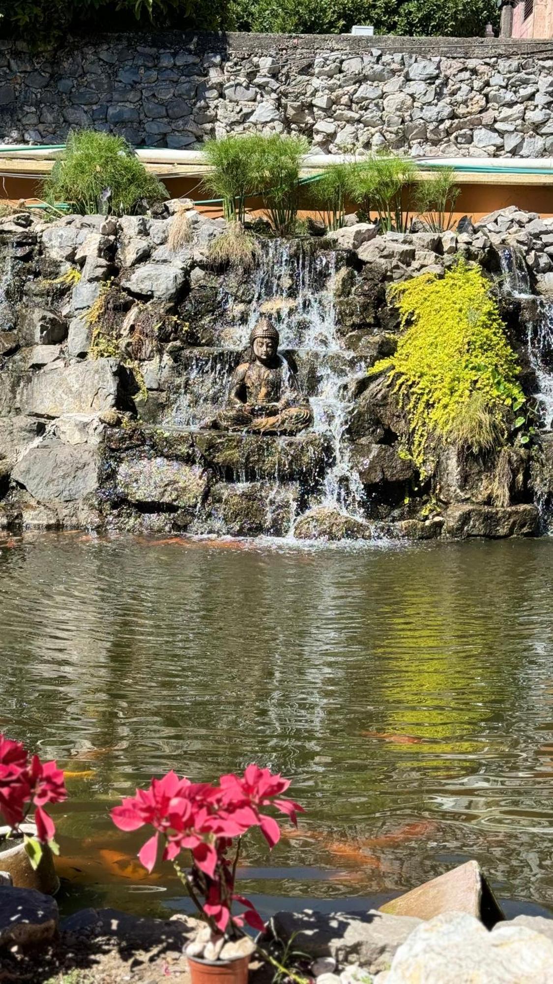 Hotel Villa Pralaya ヒウテペック エクステリア 写真